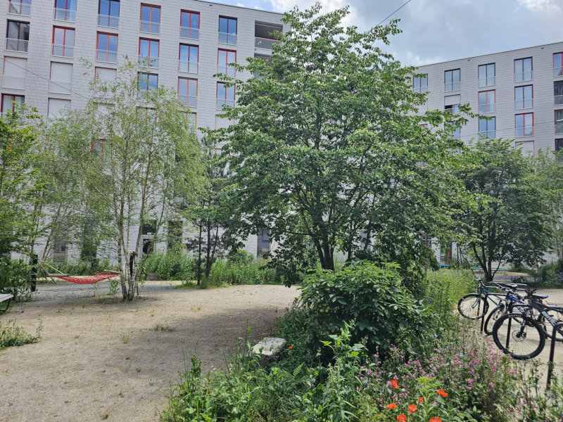 Rheinhafen